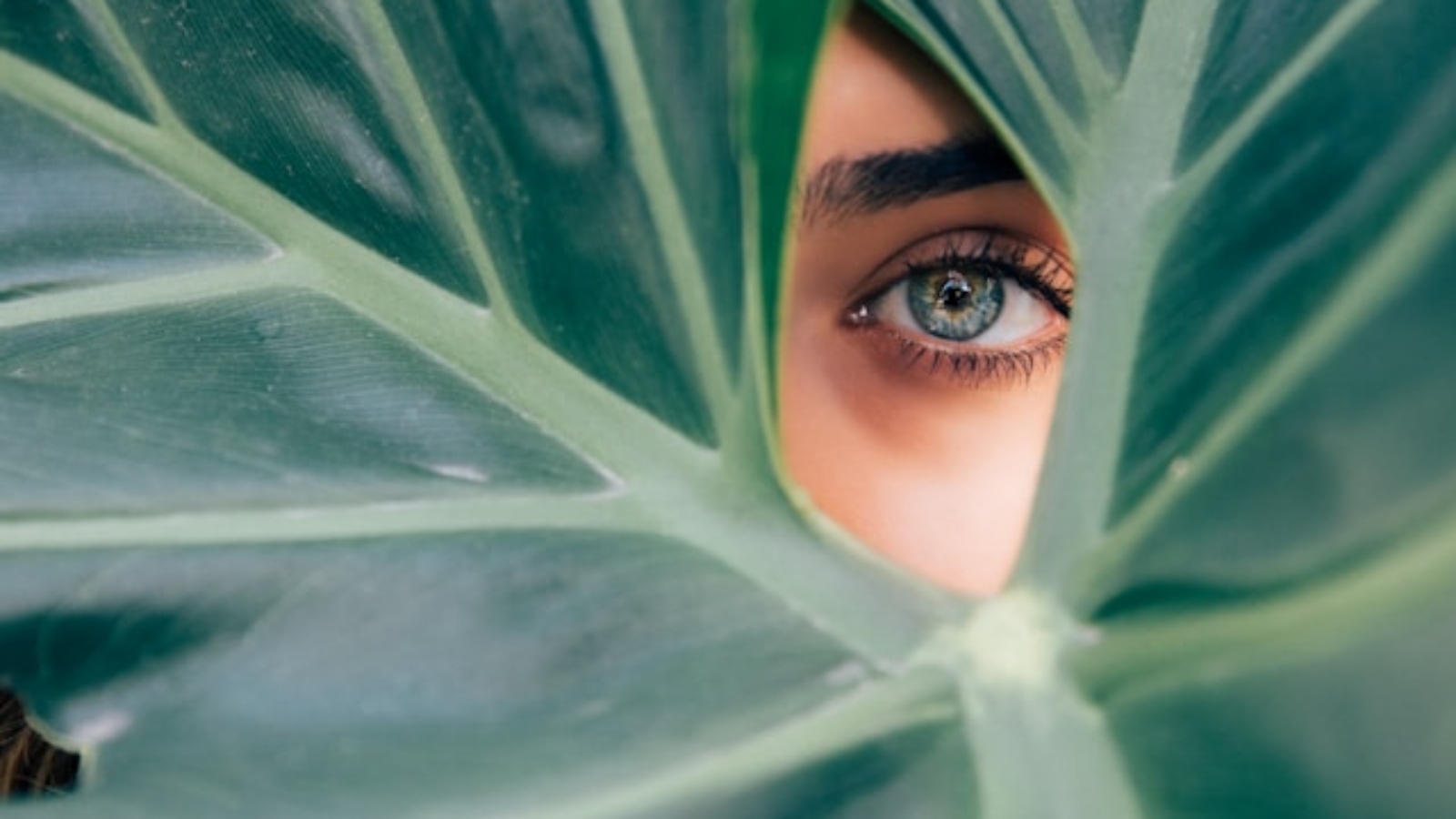 drew-dizzy-graham-cTKGZJTMJQU-unsplash